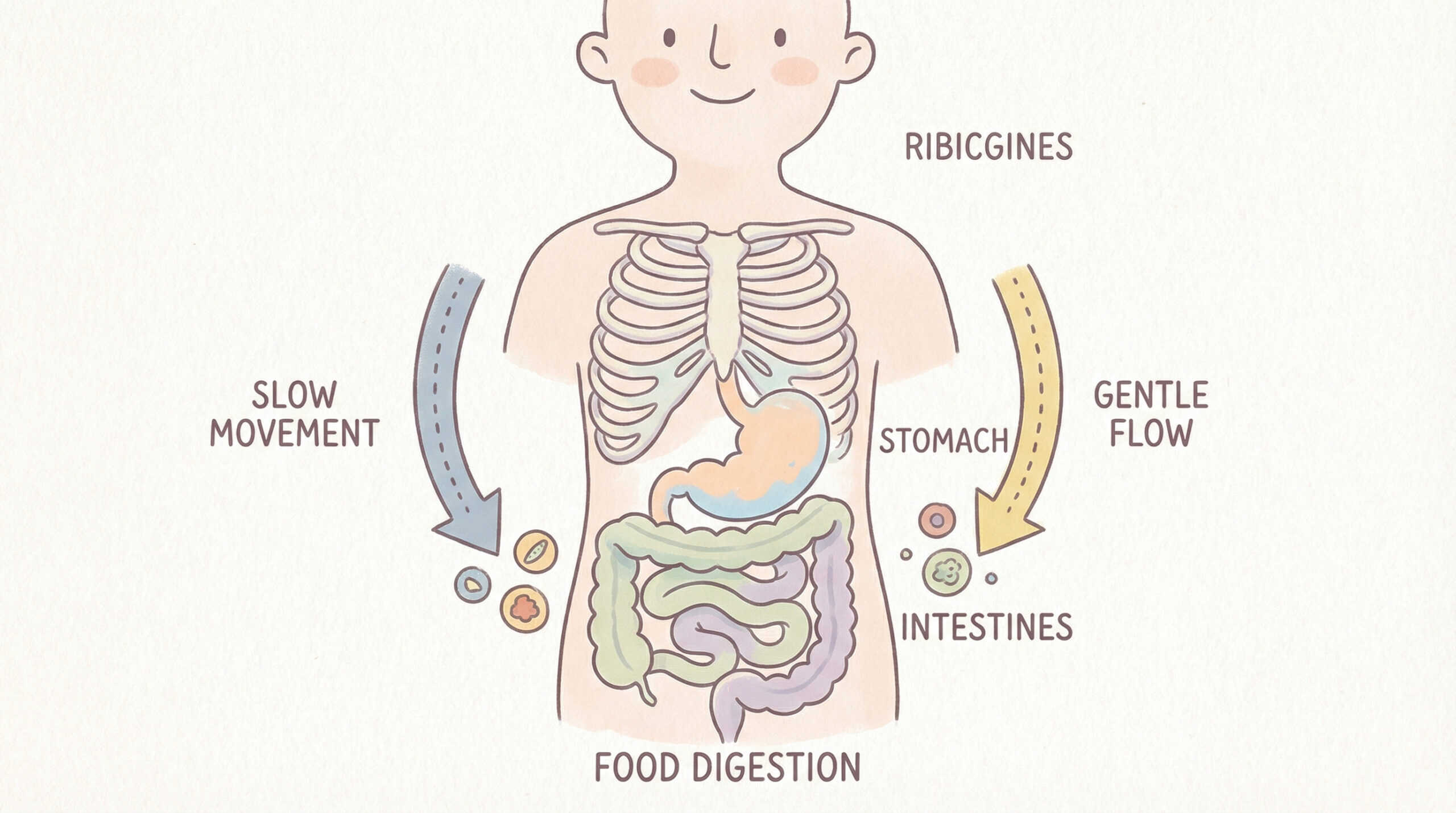 GLP-1 Side Effects & Safety: What's Normal vs. When to Get Help