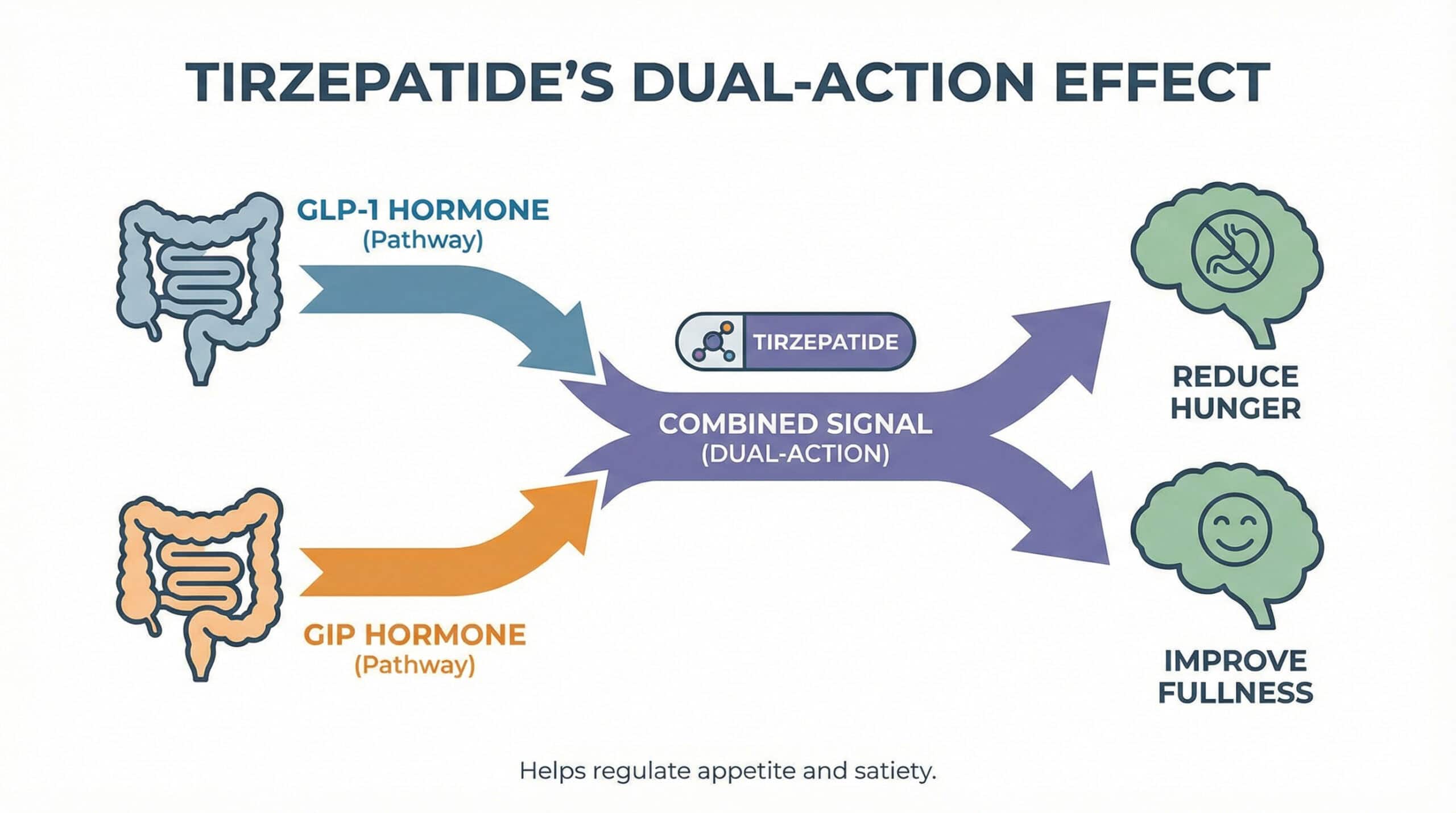 How Tirzepatide Works for Weight Loss: Explained in Simple Terms (2026)